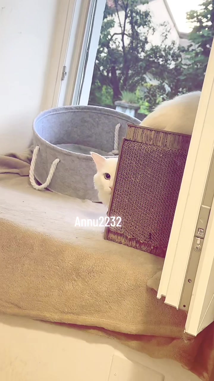 @annu_2232