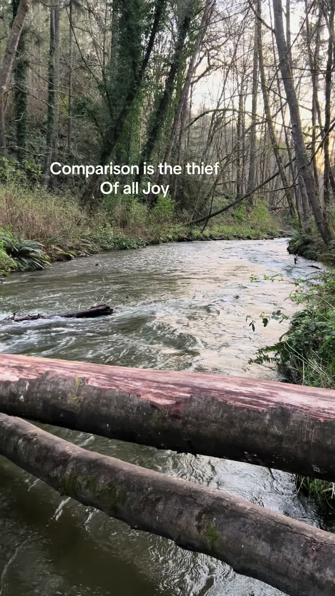 @someguyintacoma