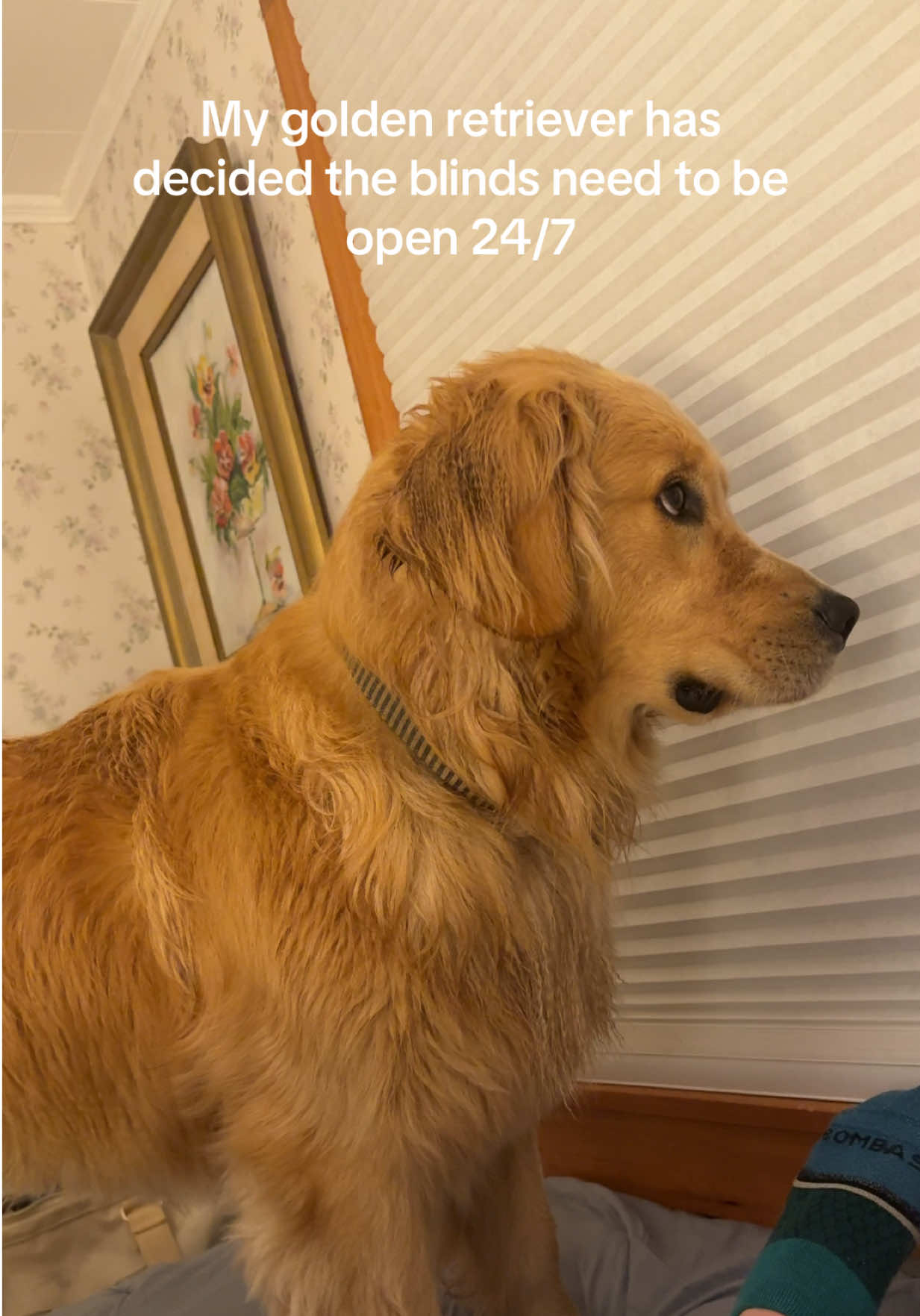 @Winter the Golden