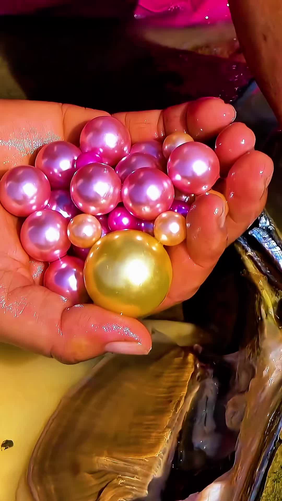 @Pearl Hunter