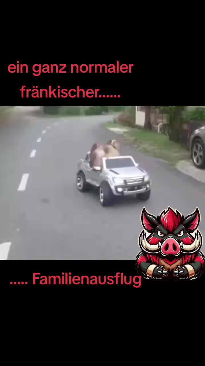 @🐗Fr&auml;nkischer-Rampen- Eber🐗