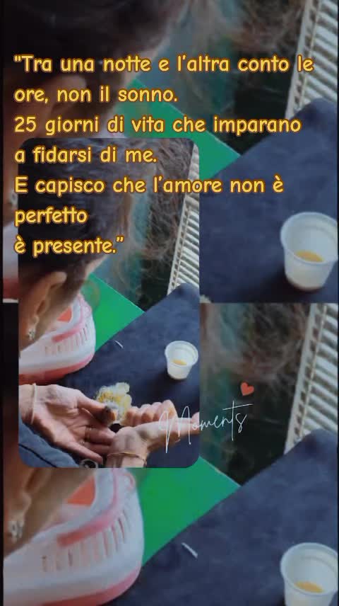 @Alessandra Altobelli