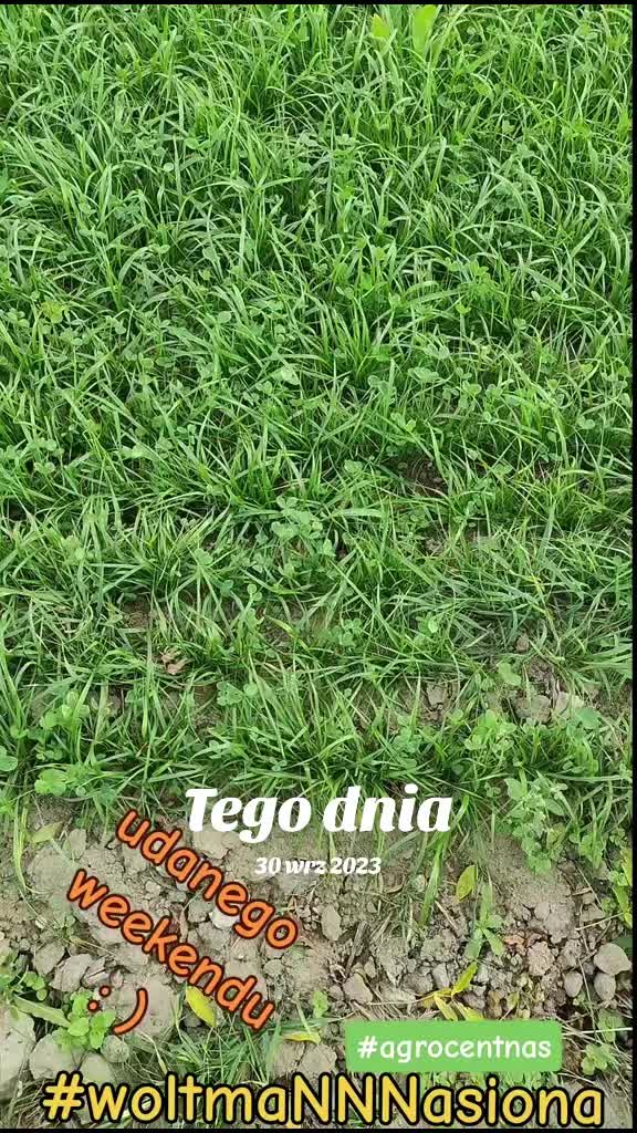 @WOLTMANNNASIONA