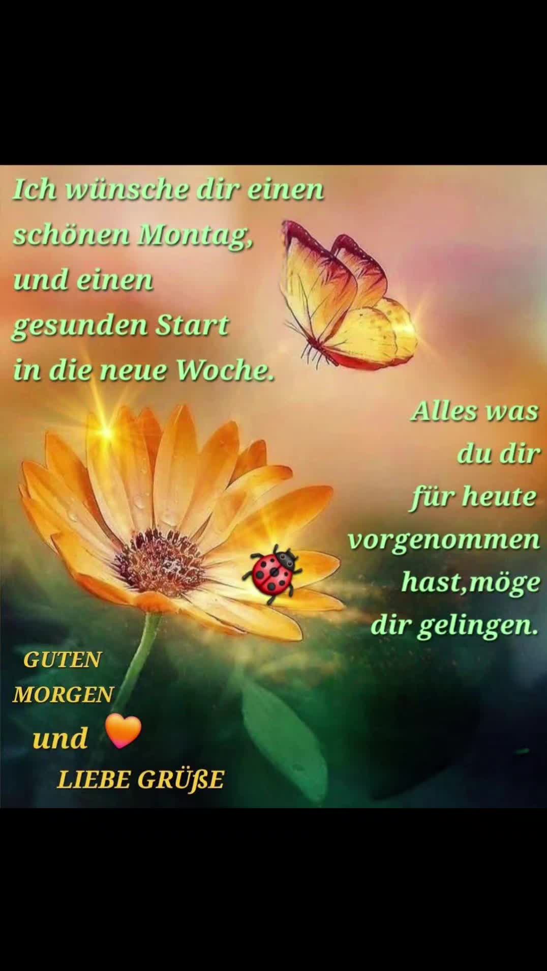 @master_andy_b