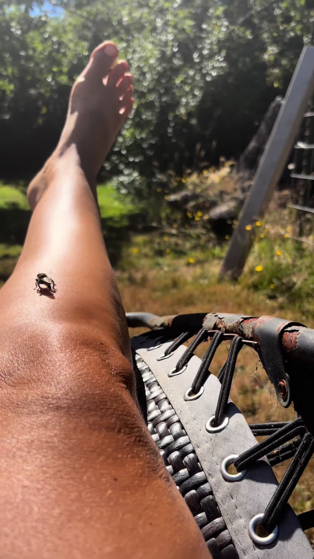 @oregonskyveek
