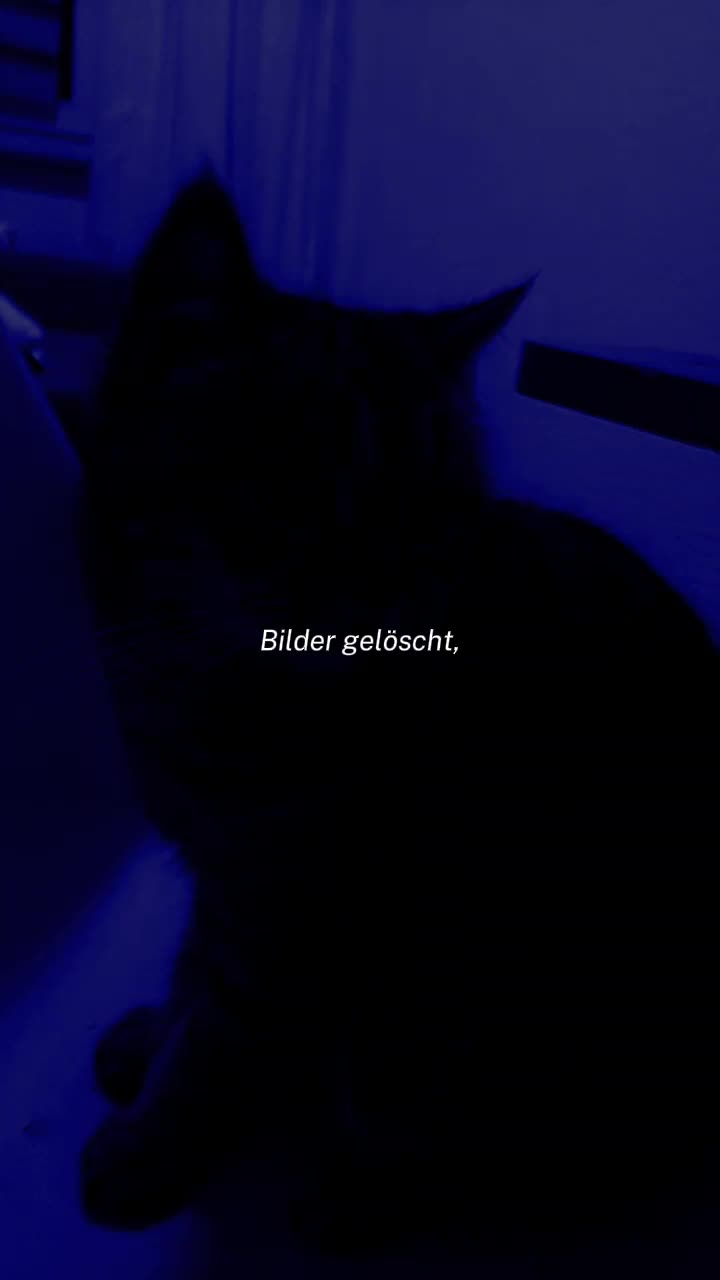 @🚀🚀