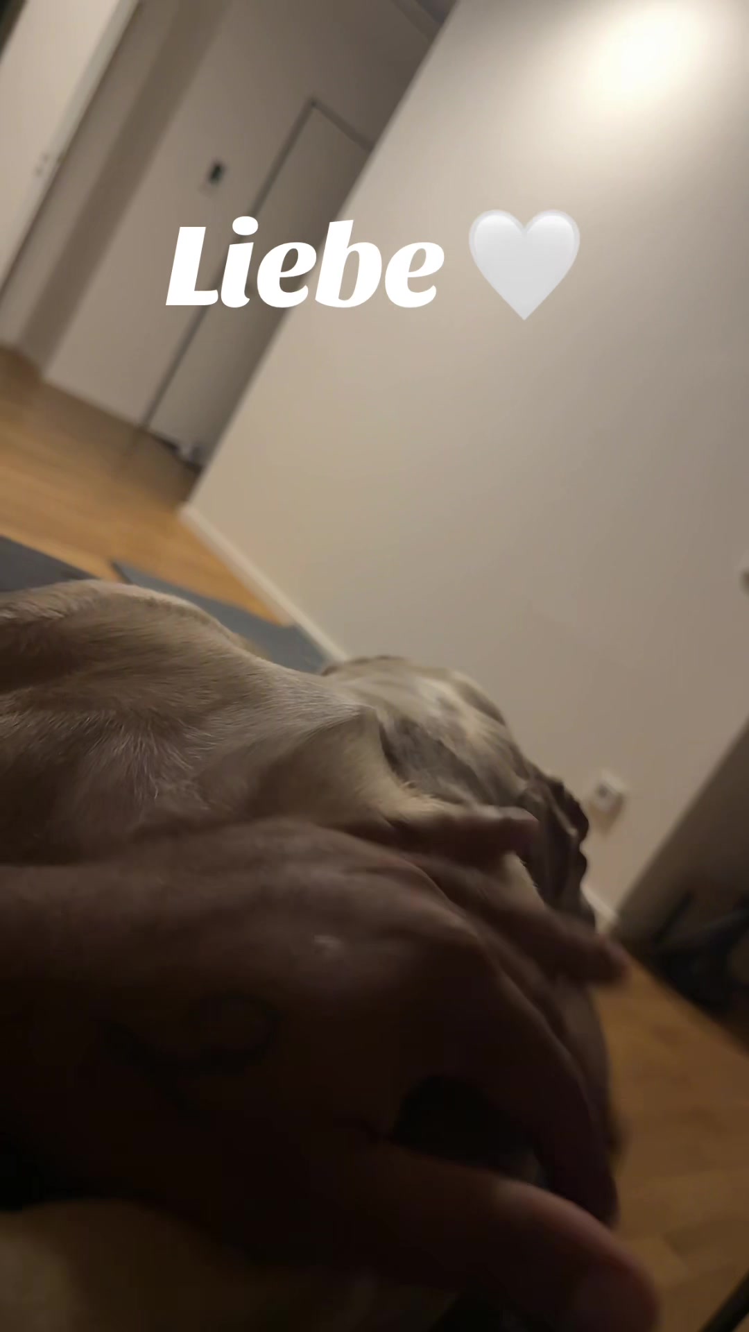 @Milly 🐶🥰