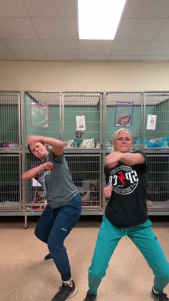 @2vettechs