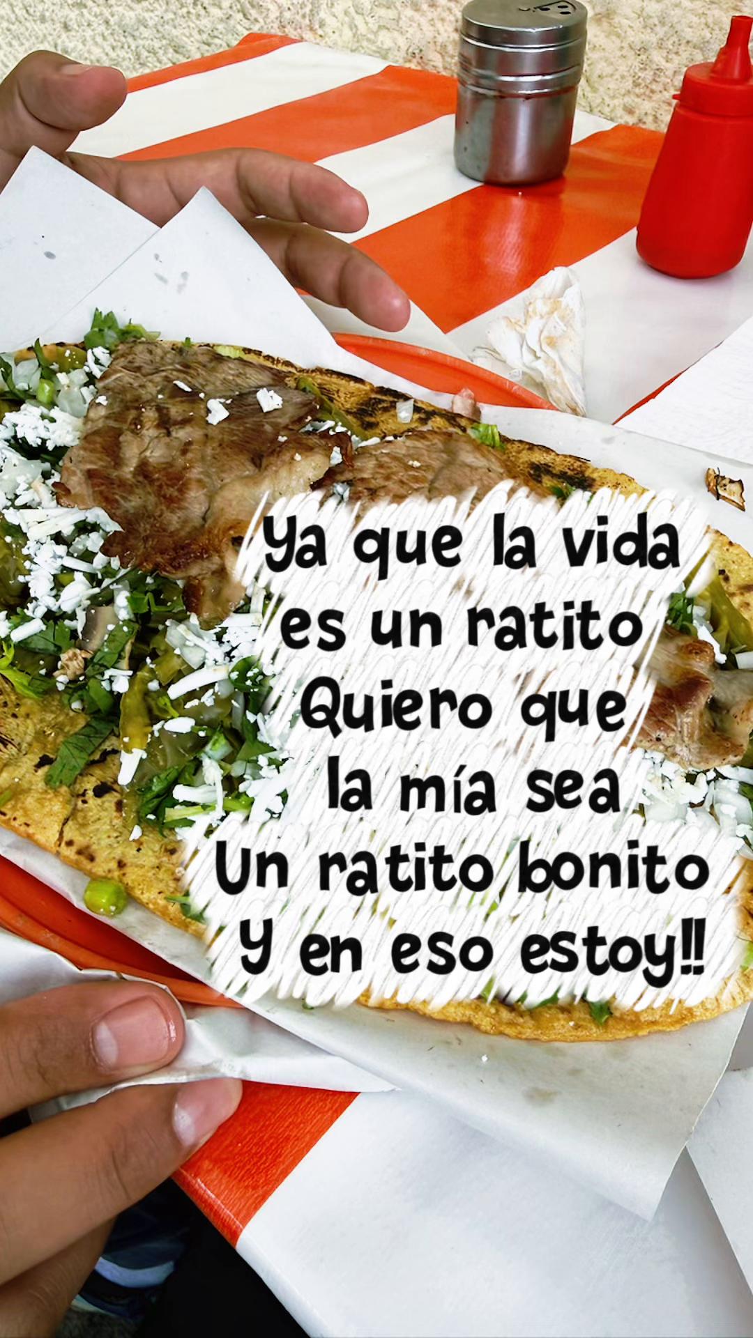 @Vane LC