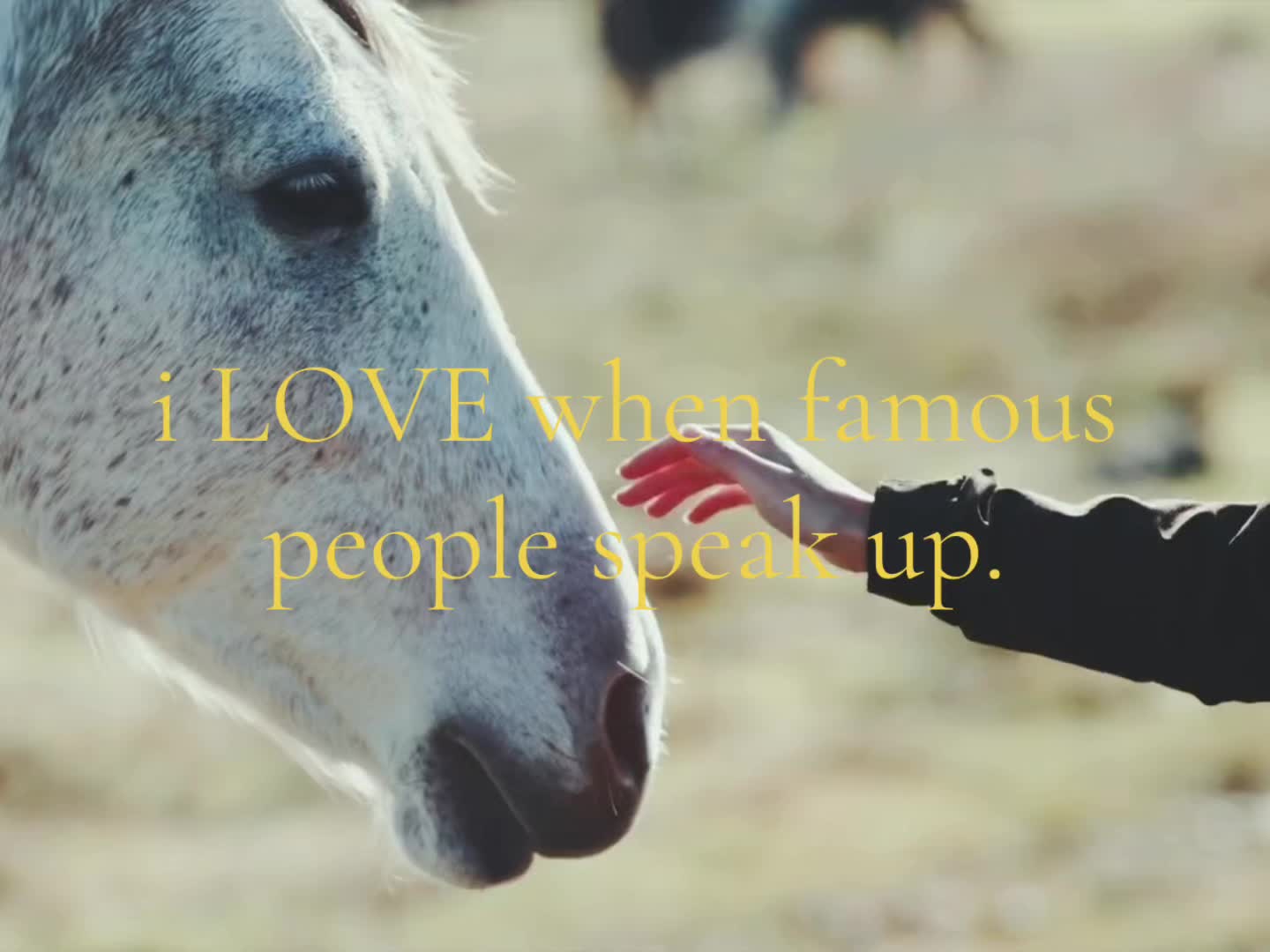 @Lu