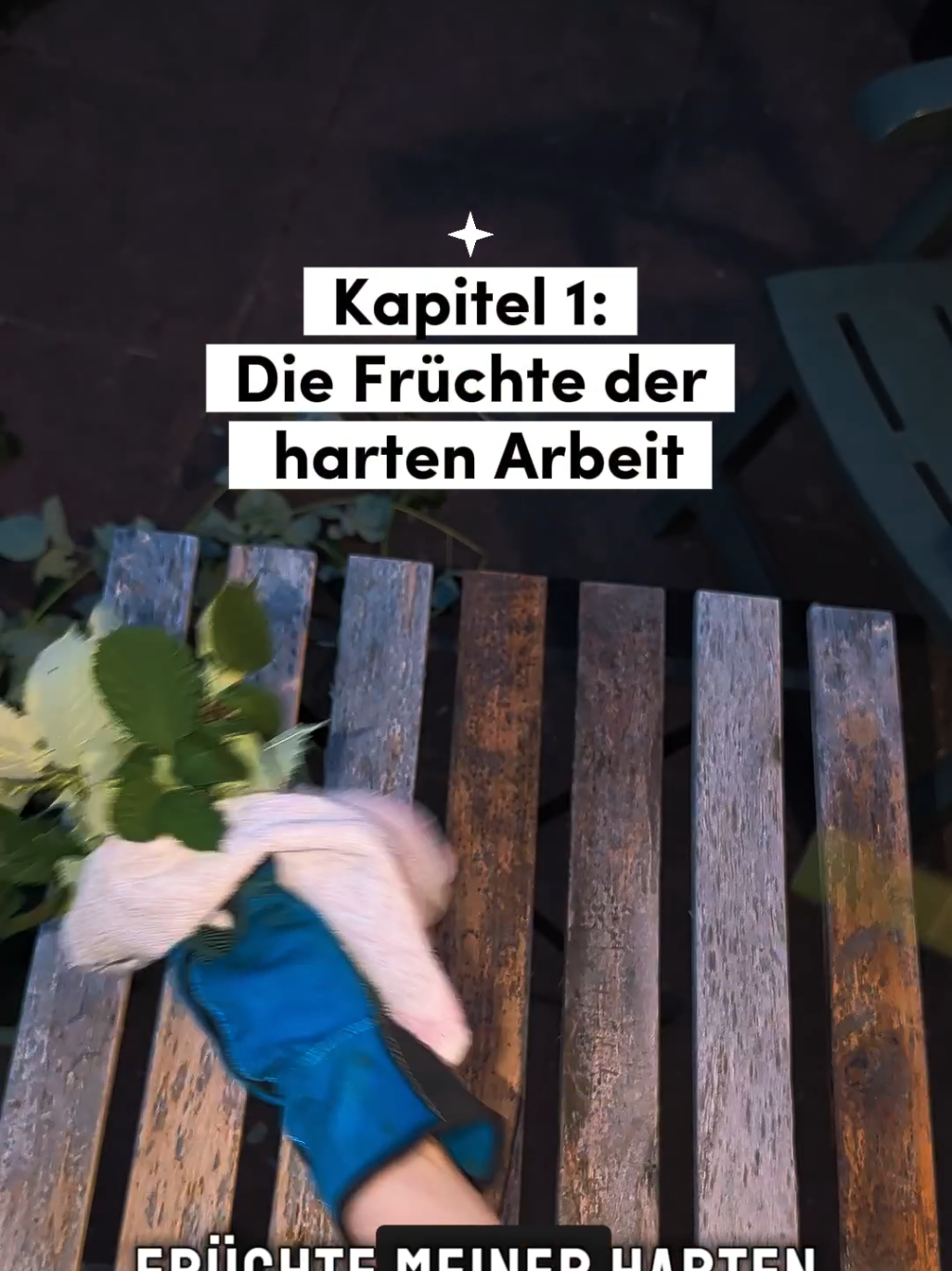 @ErnteExperte
