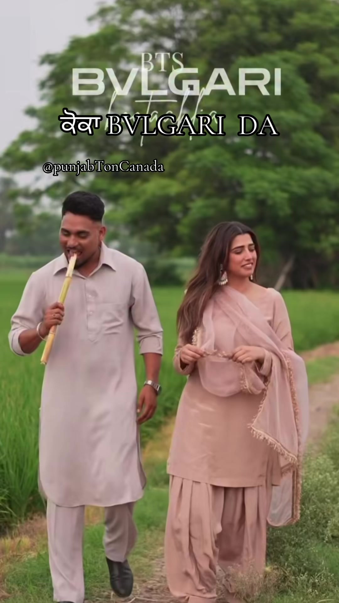 @punjabtoncanada