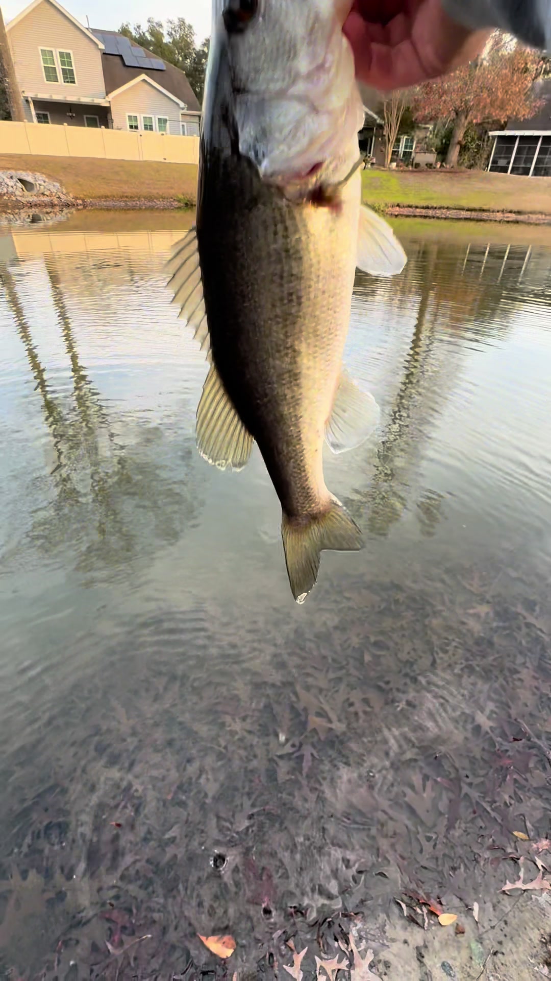 @WHKfishing