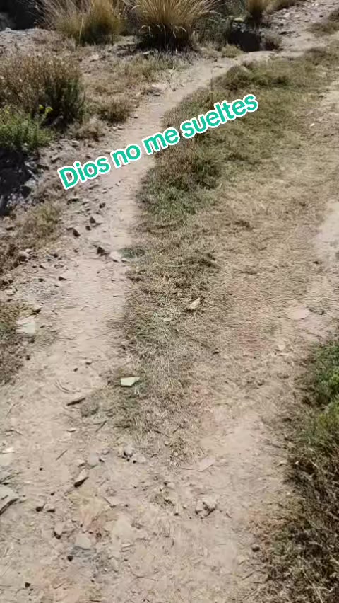 @Irma