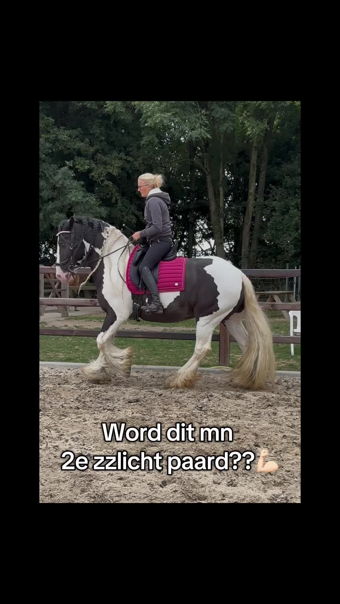 @Syrche Cordewener