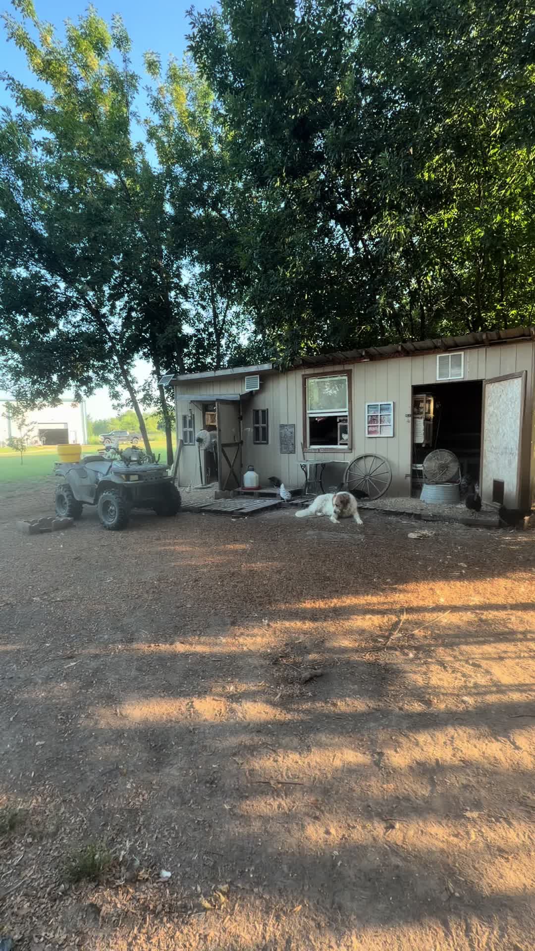 @NonniesFunnyFarm