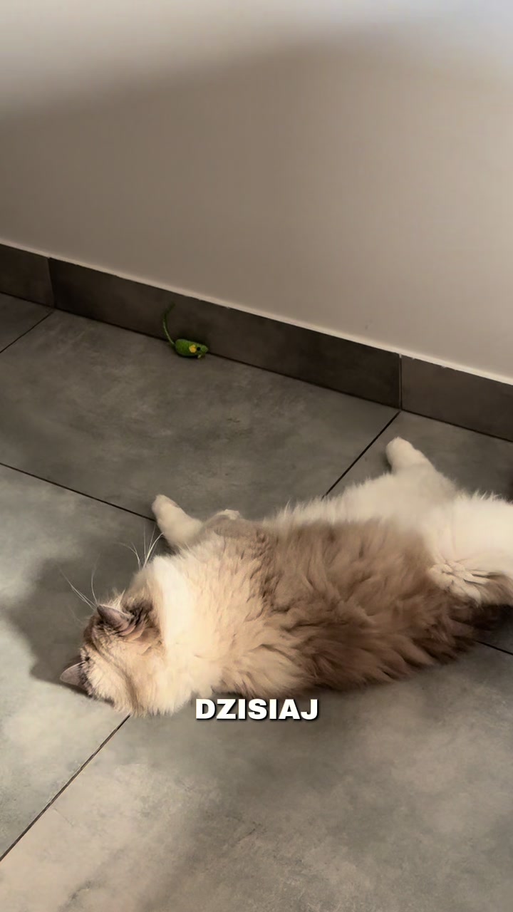@Sonia Maselik