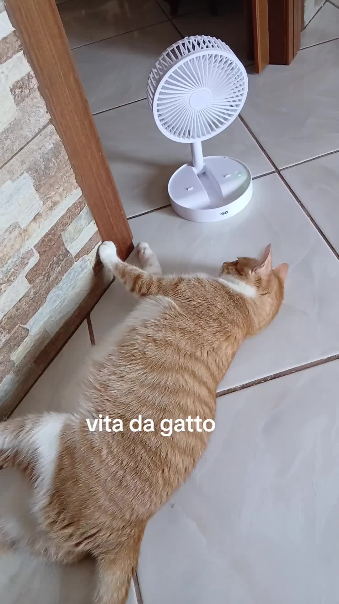 @massimo . Siciliano 🫶