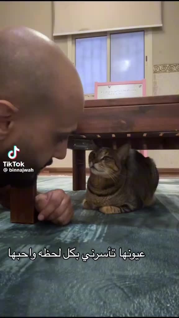 @hodnaleo: ⴱⵡⴷⵏⴰ ⵉⵣⵎ