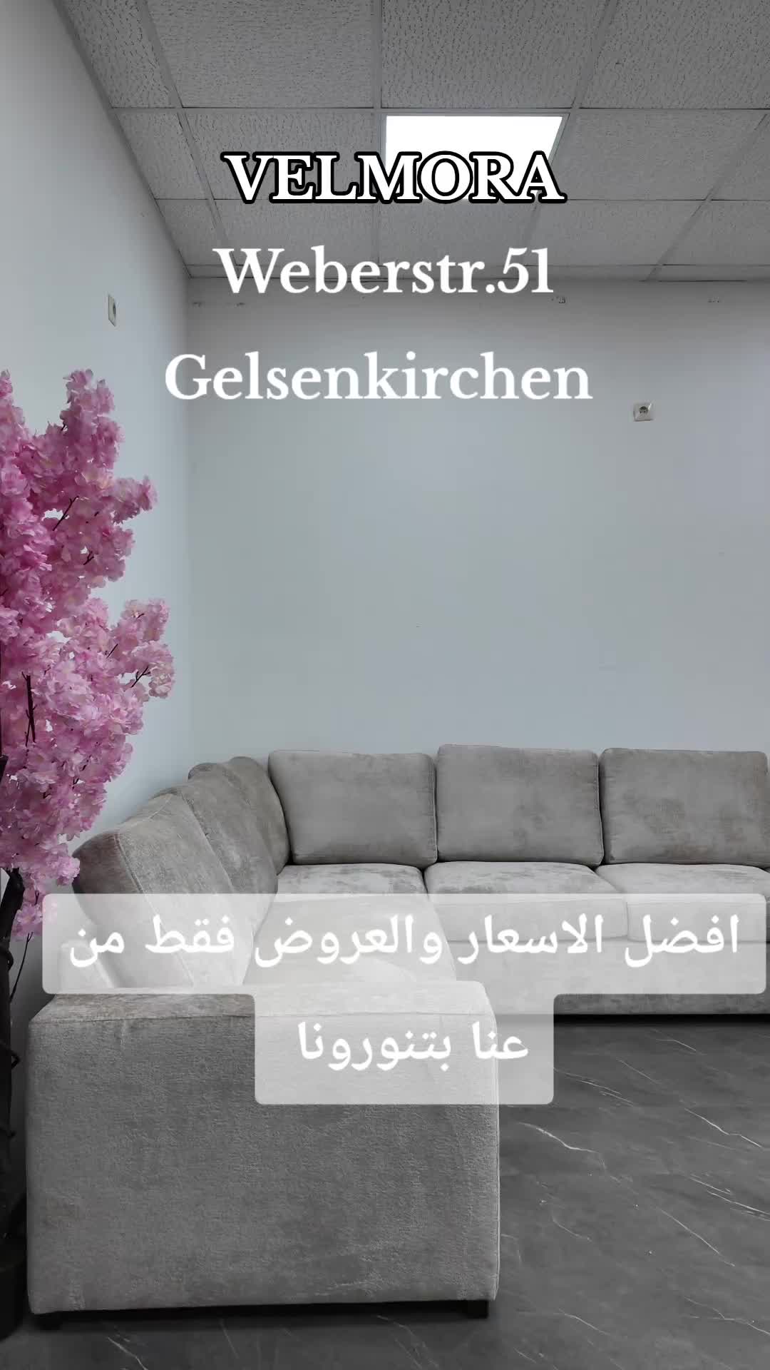 @Velmora فيلمورا