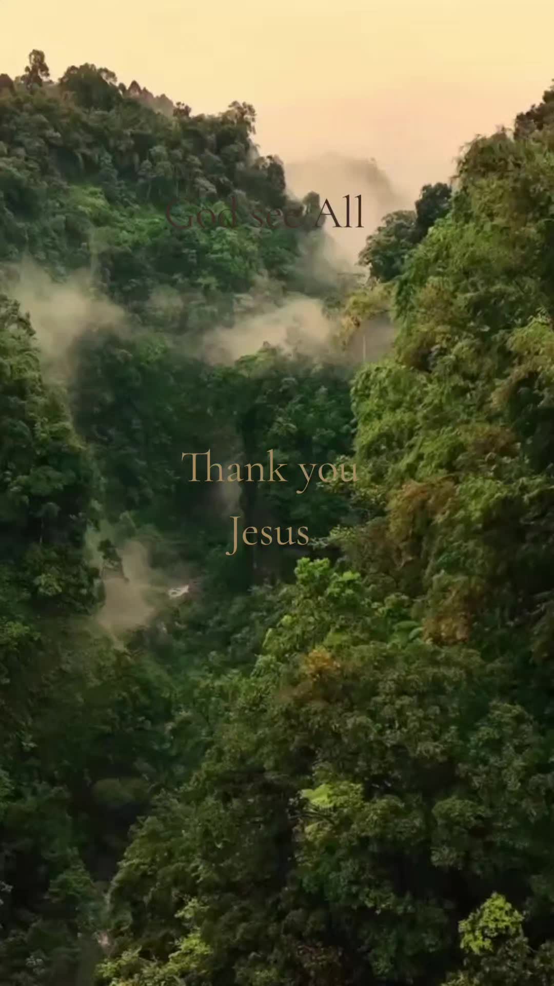 @seven