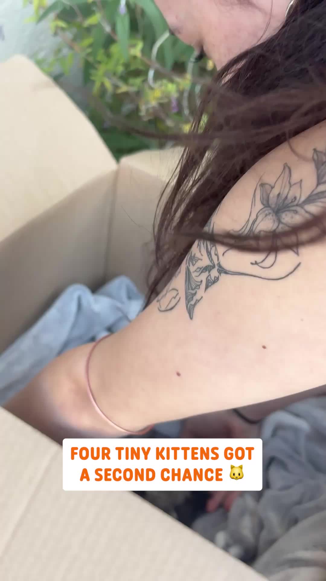 @Pawsome Pets