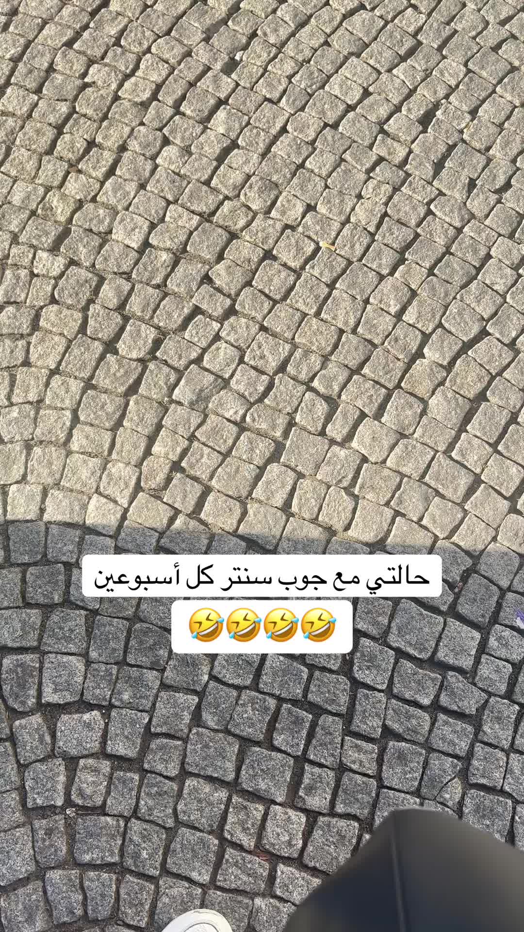 @🌸༻ دِمَشْقِيَّةُ الْهَوَى ༺🌸