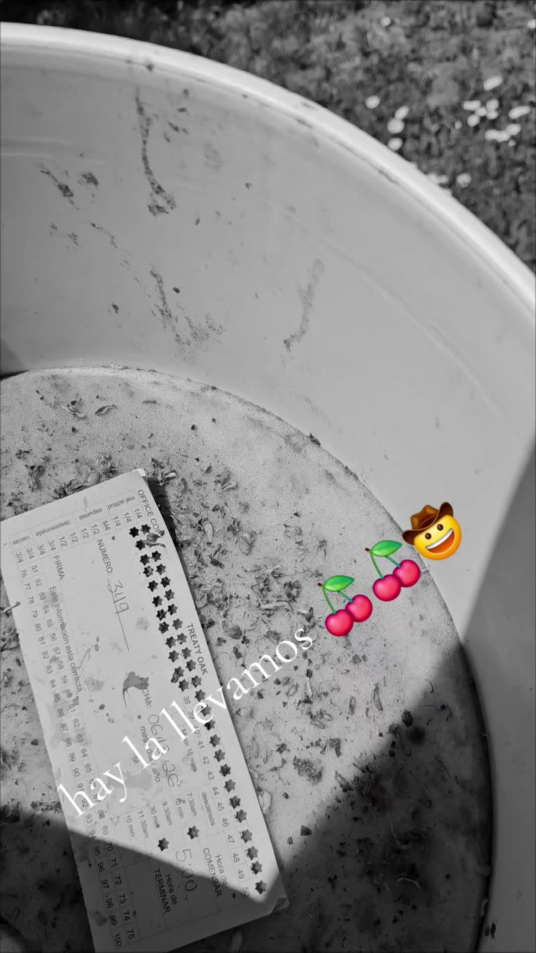 @fulgencio🤠