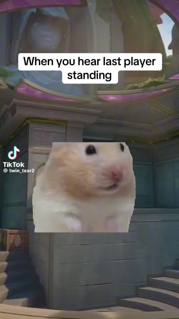 @SideQuest