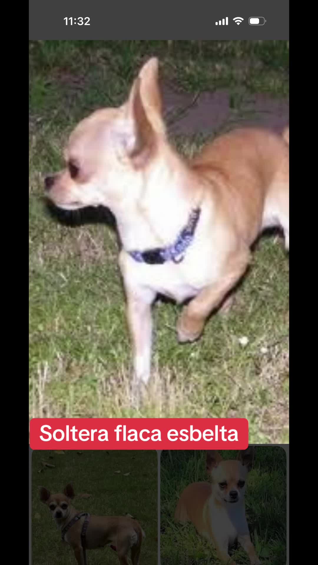 @Gabriel #ense&ntilde;asa