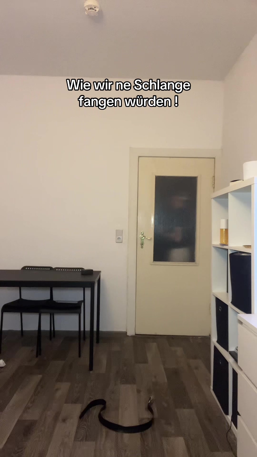 @131Finn