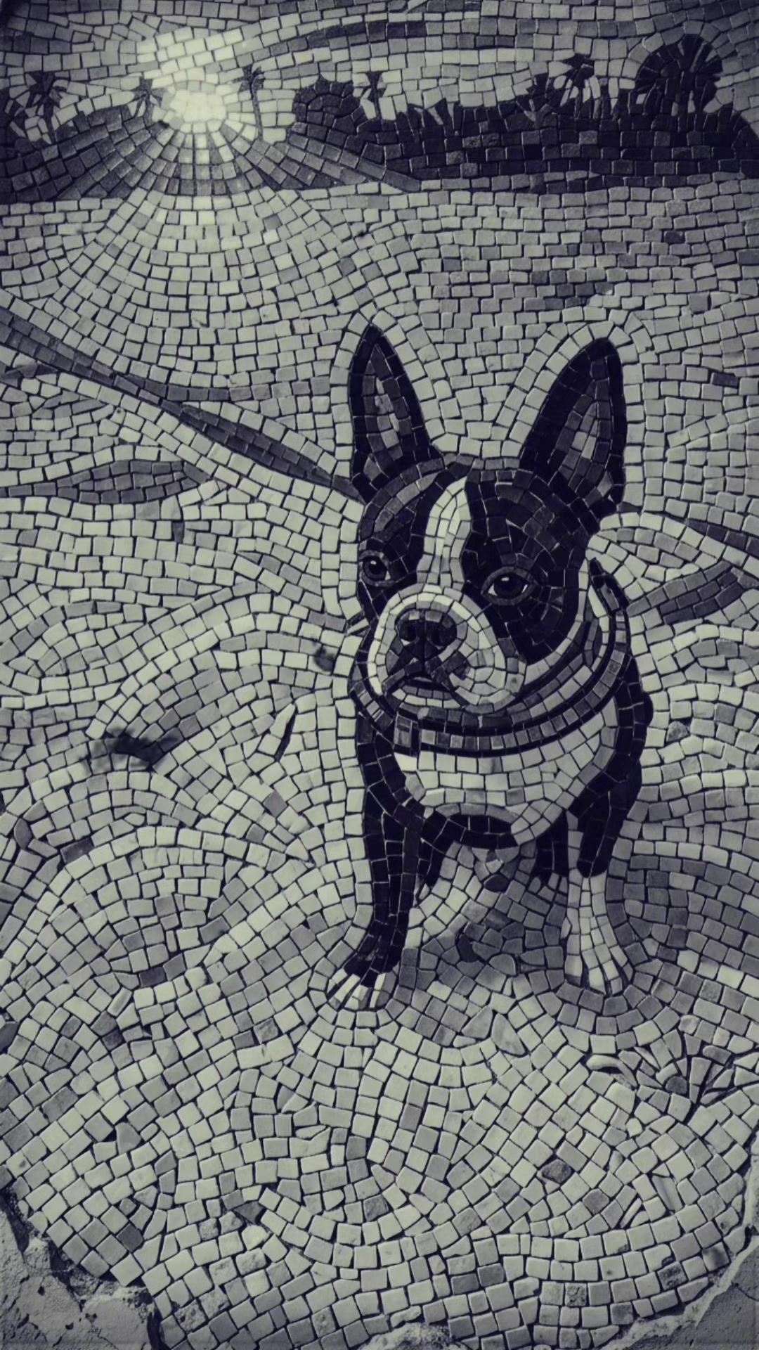 @Sir Leo the Terrier