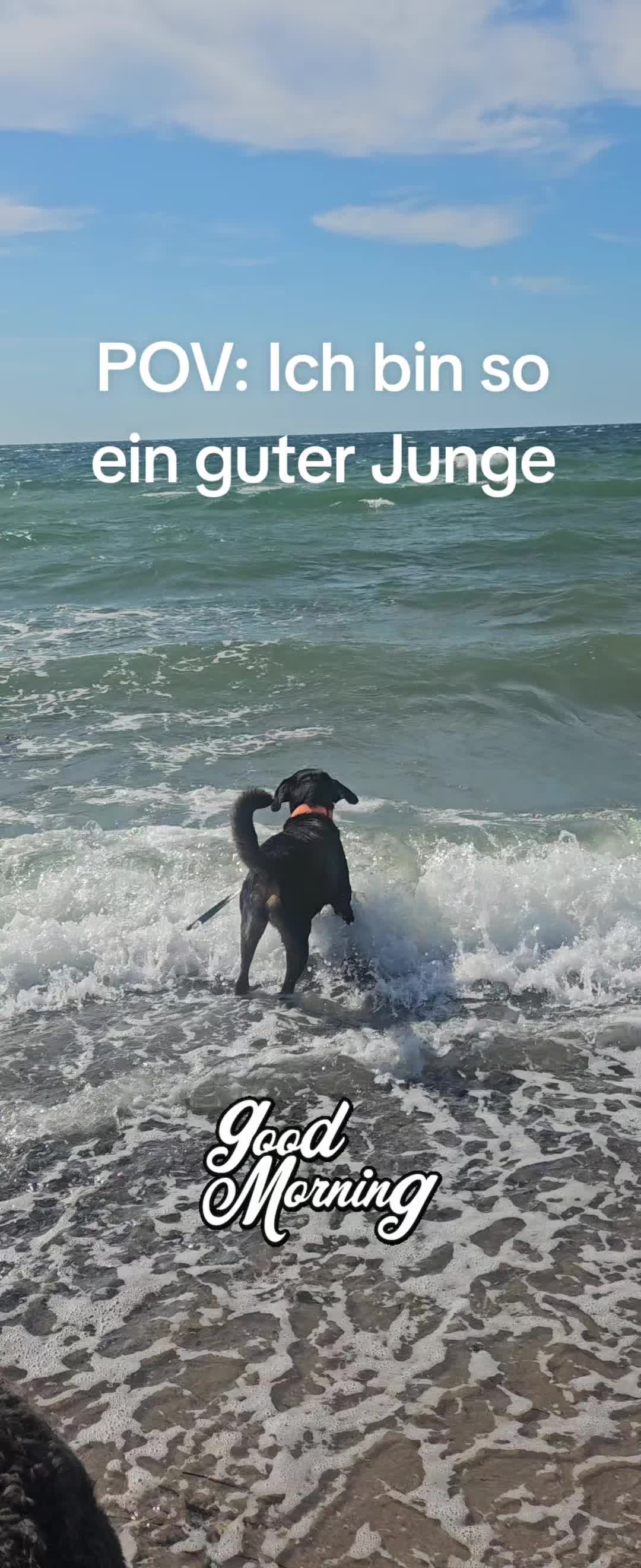 @💝Olle💜Emma🤎Fritz💟Mutti💌