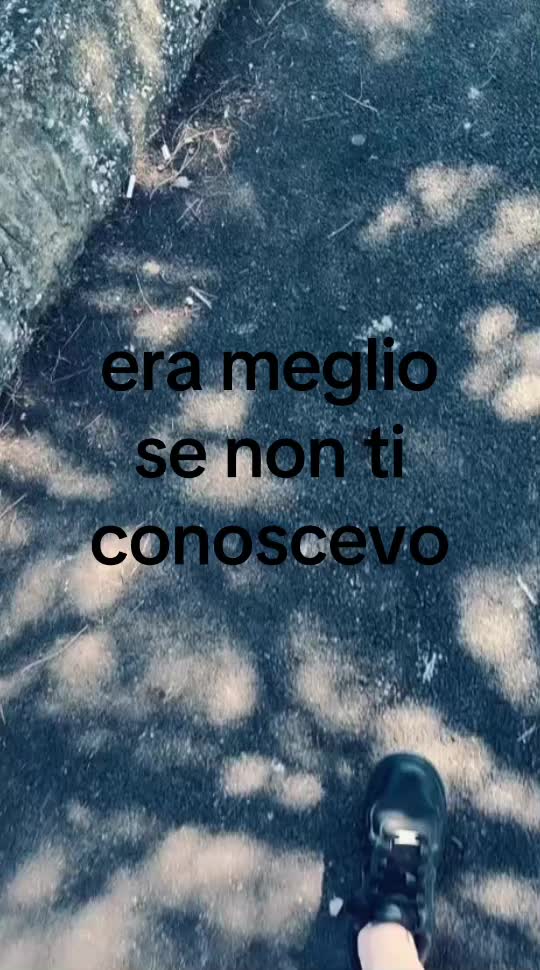 @Stella👑🩰📚