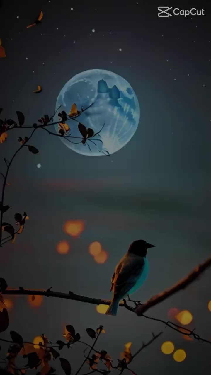 @Mubarak khan
