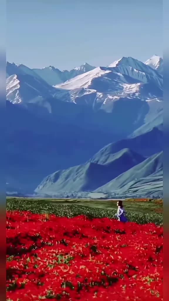 @𝑫𝒖𝒔𝒂 𝒐𝒅 𝒄̌𝒐𝒗𝒆𝒌𝒂🎹