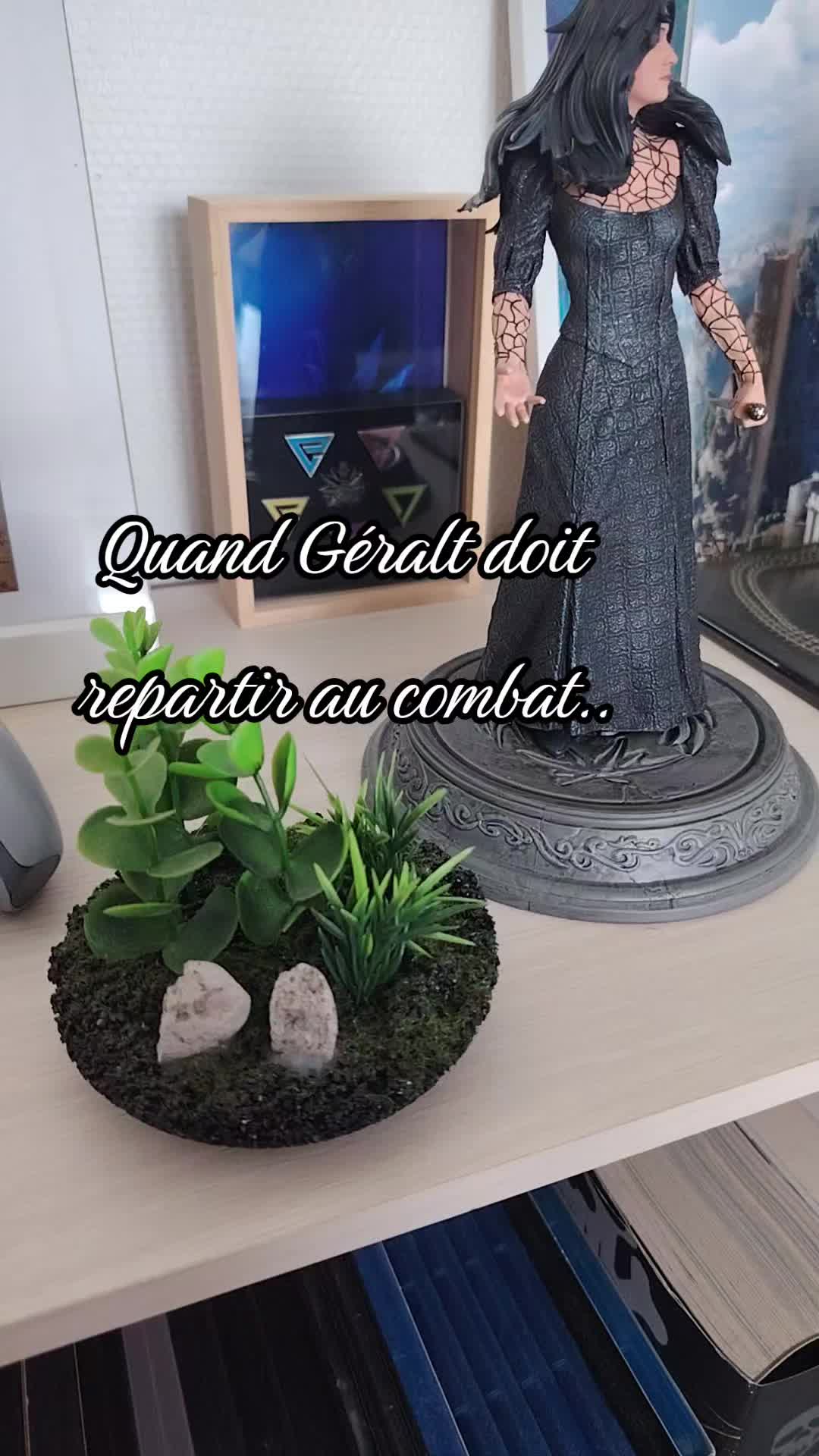@victimegeek