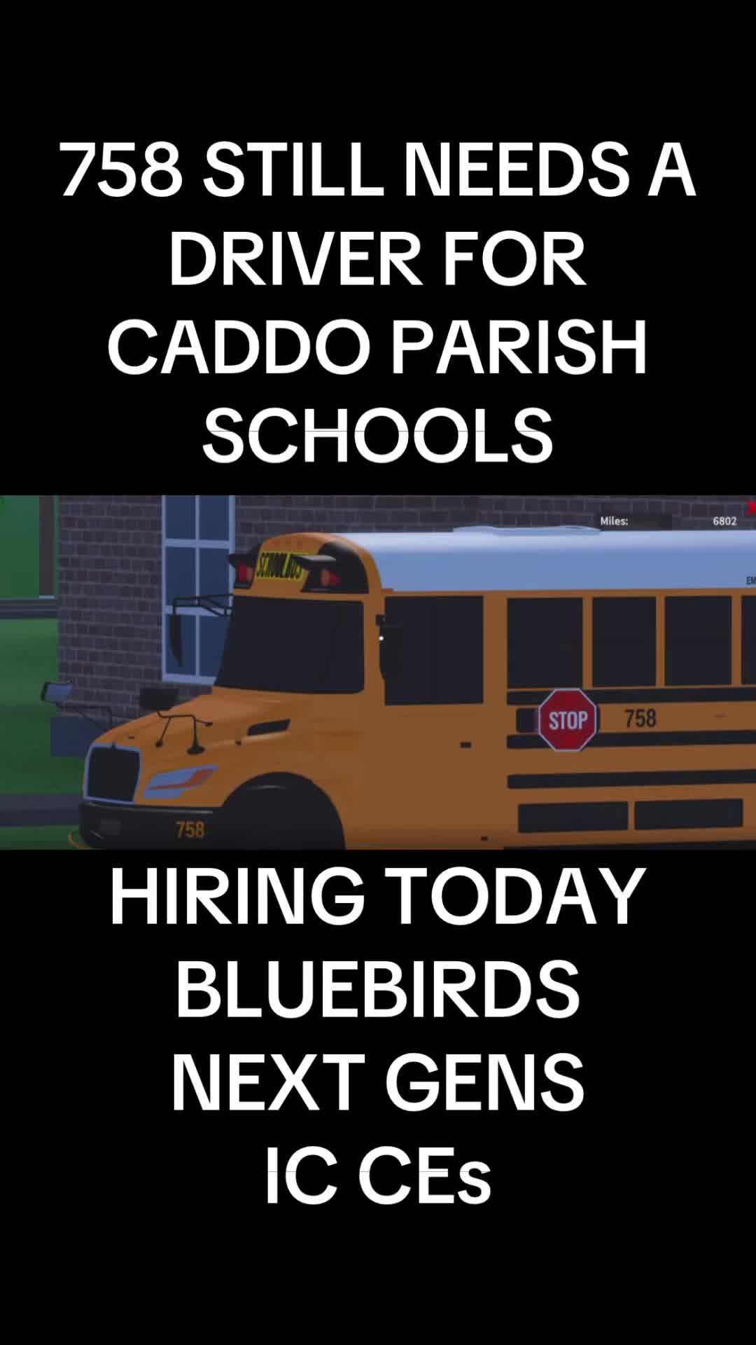 @Bluebirdbus302