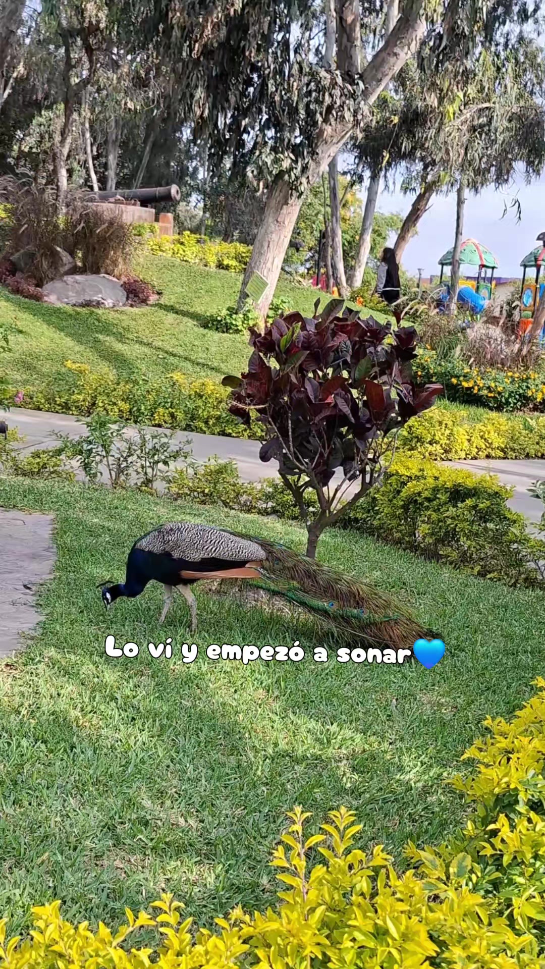 @angelecita