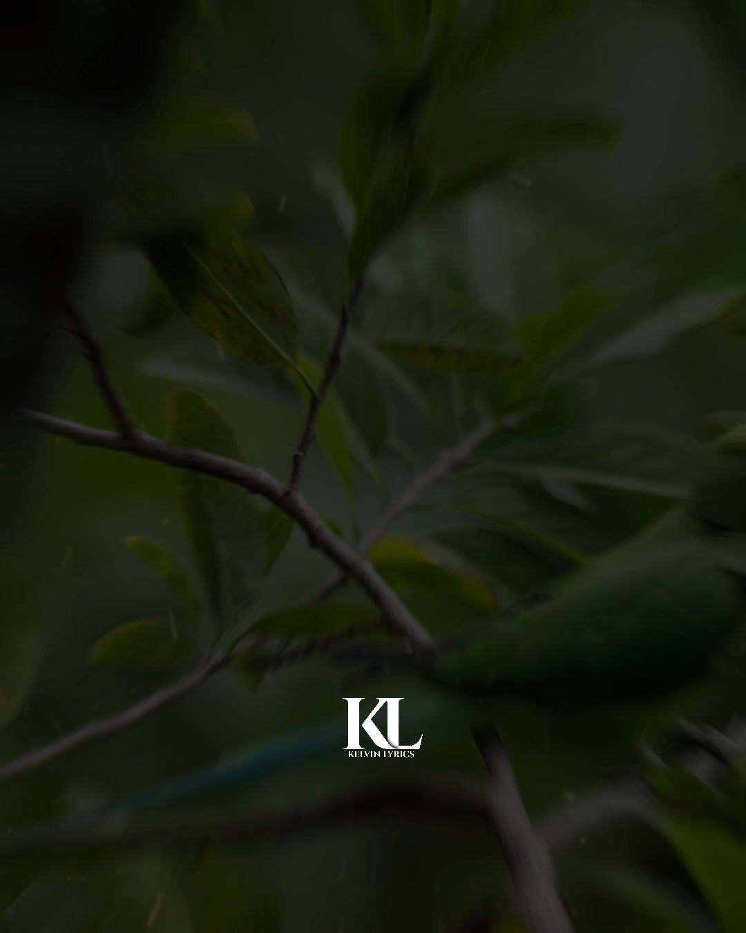 @𝐊𝐈𝐍𝐆 𝐎𝐅 𝐋𝐘𝐑𝐈𝐂𝐒