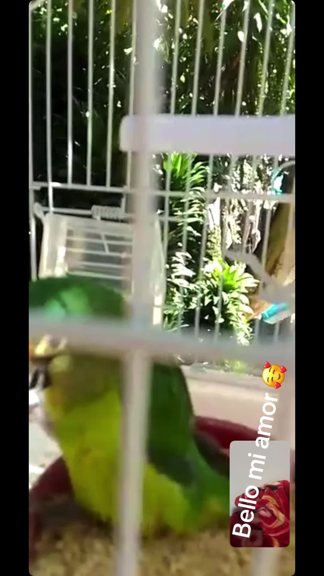 @la bebecita
