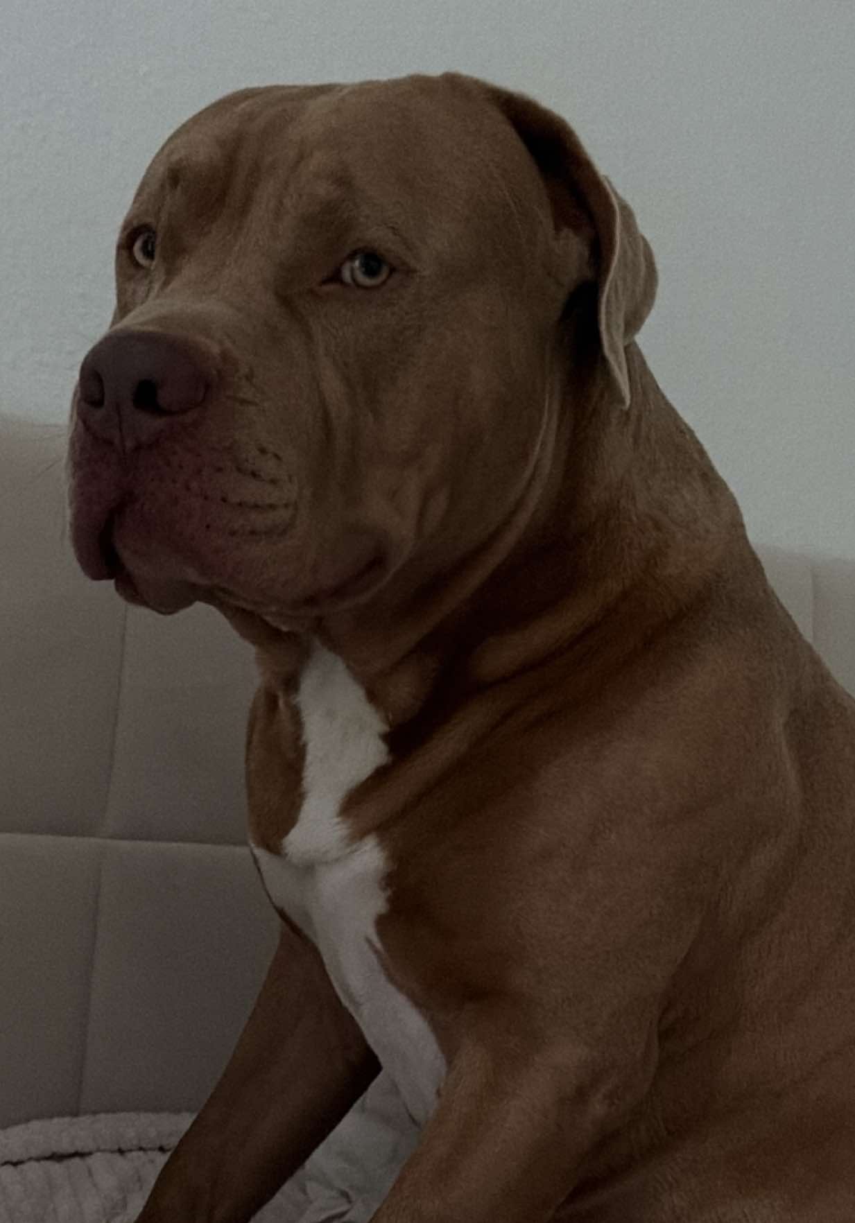 @Jessica &bull; mom of Ruffy🦴🤍