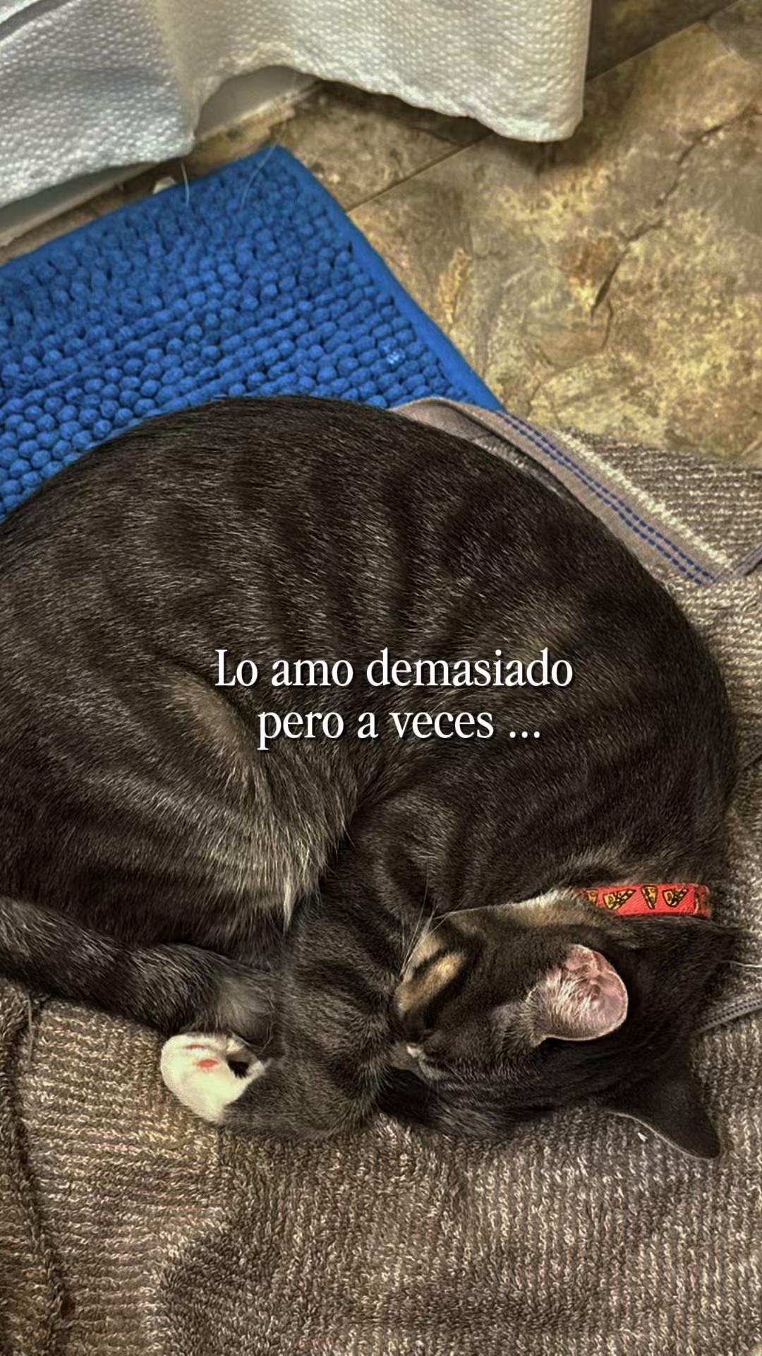 @Te espero en páginas no escrit