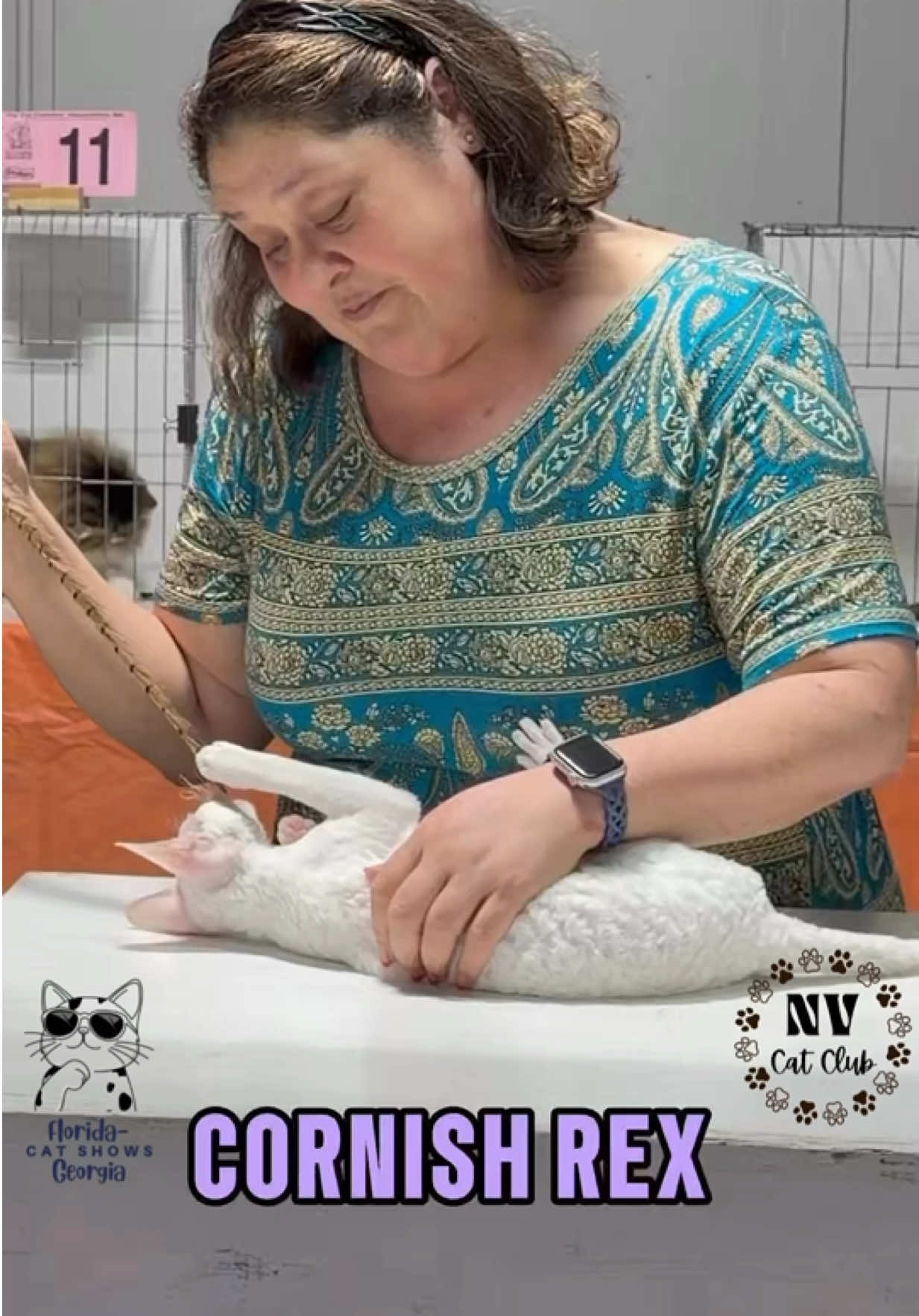 @NewVisionCatClub