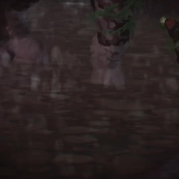 @𝐖𝐚𝐫𝐫𝐢𝐨𝐫 𝐜𝐚𝐭𝐬🐈🐈⬛