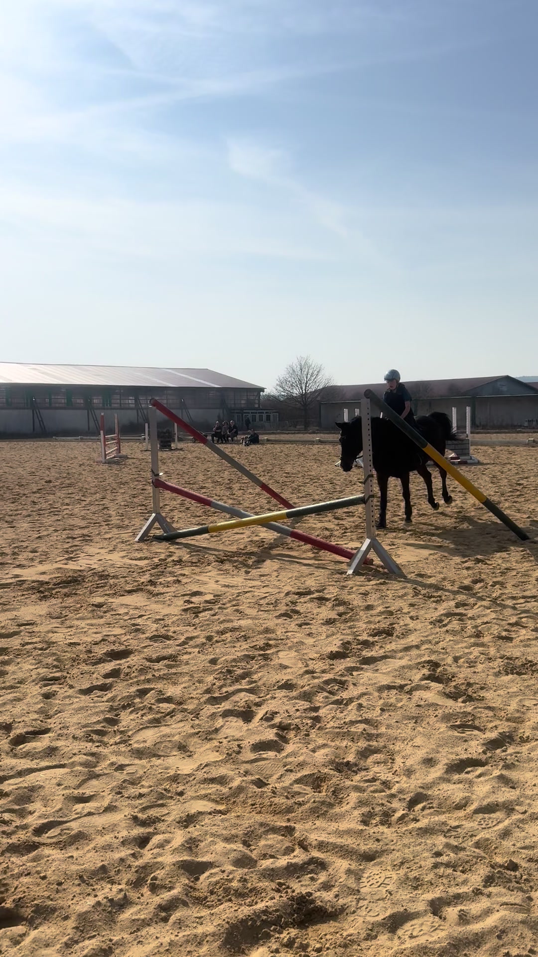 @Reitstall Freiberg