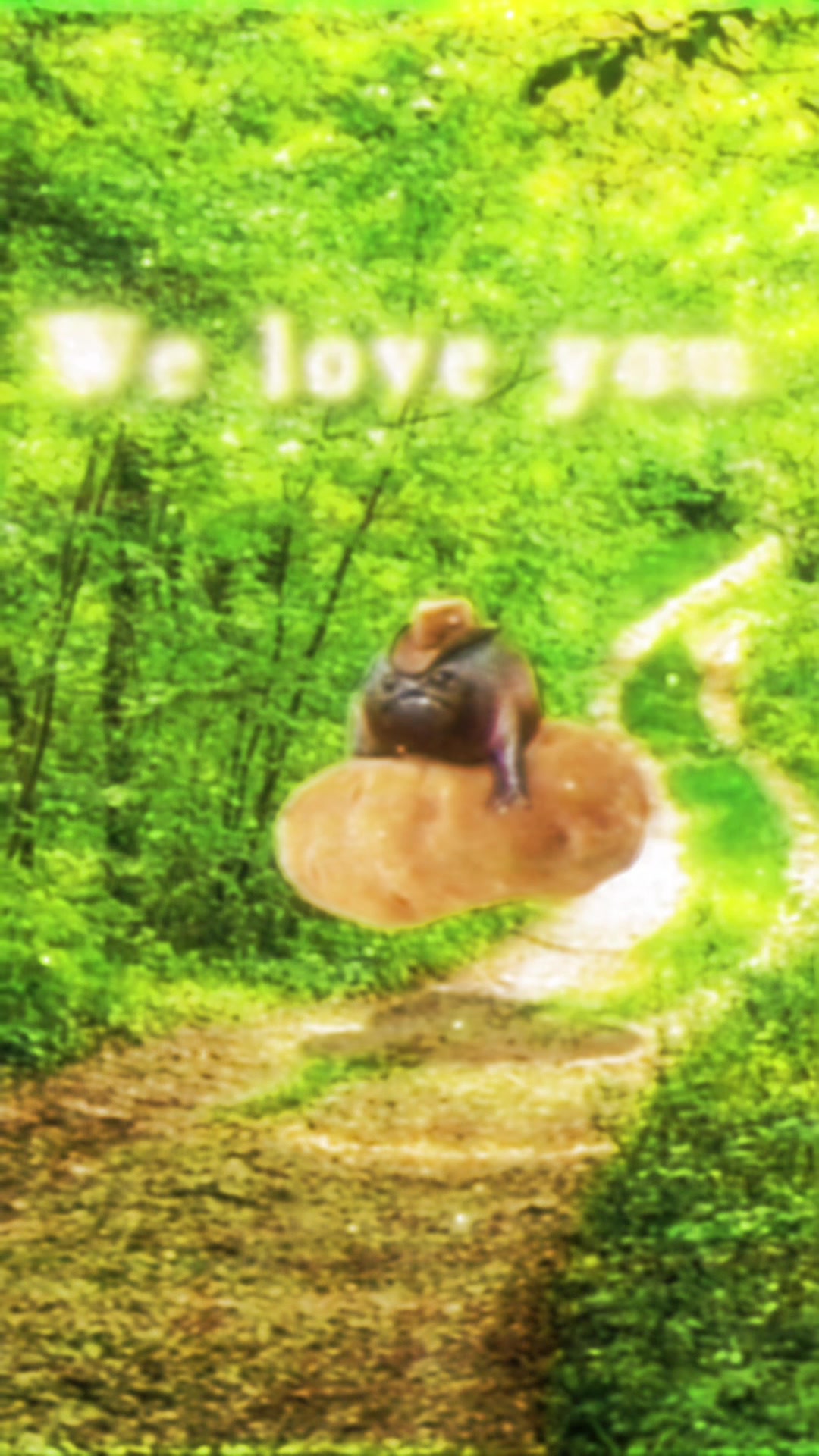 @Holy Frog Father