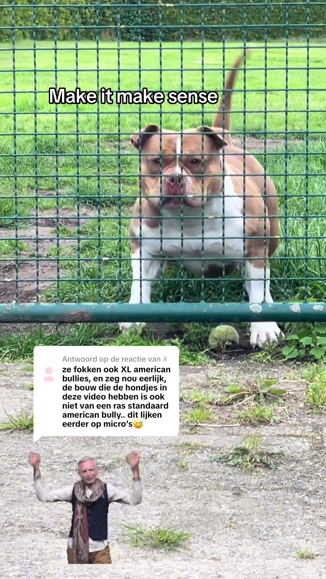 @bigdutchbullykennel