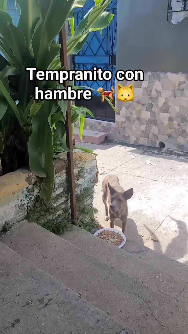 @𝕃𝕚𝕤𝕤 ℝ𝕖yes🇸🇻