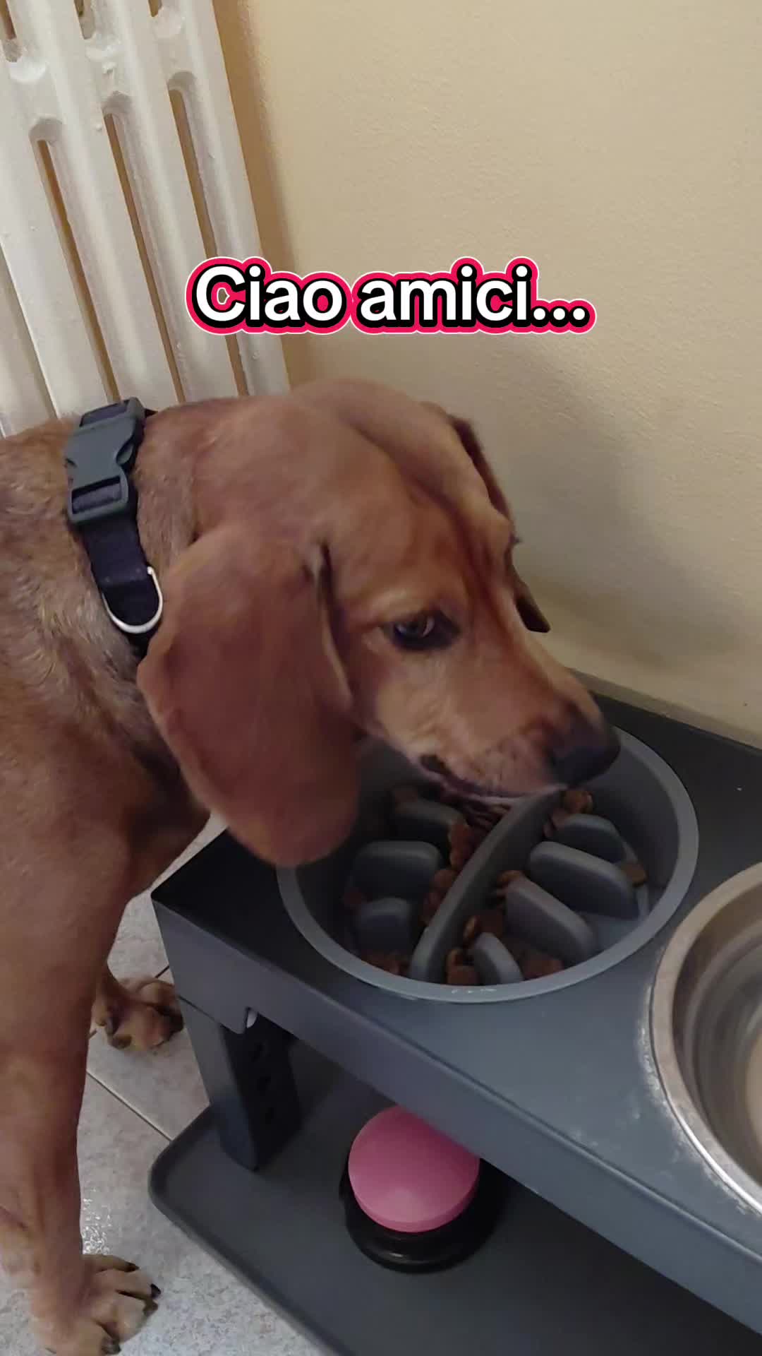 @Benjitoitaliano20